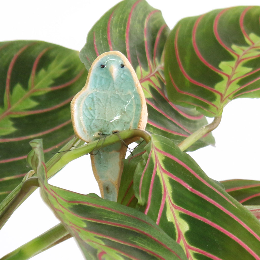 small ceramic and glass aqua blue budgie plant decoration, with thin wire wrapped around house plant stem