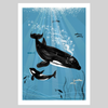 Orca A4 Print