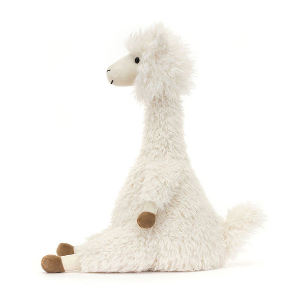 Alonso Alpaca