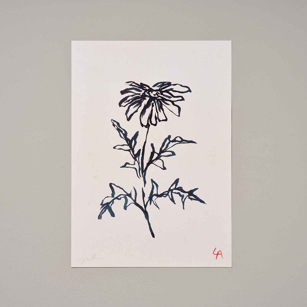 Chrysanthemum Art Print Unframed