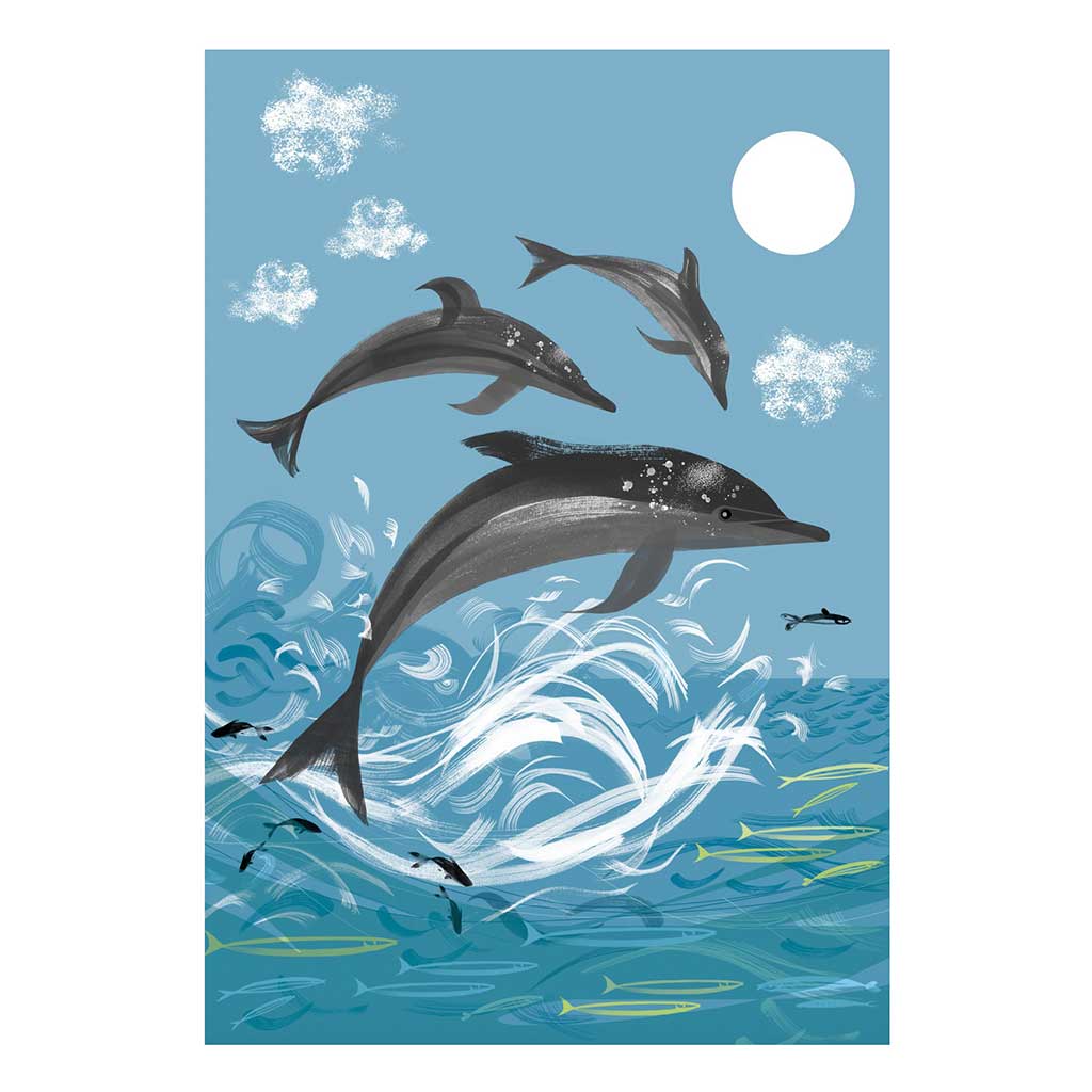 Dolphin A4 Print