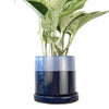 Big Minute Pot & Saucer Cobalt Blue - Insideout