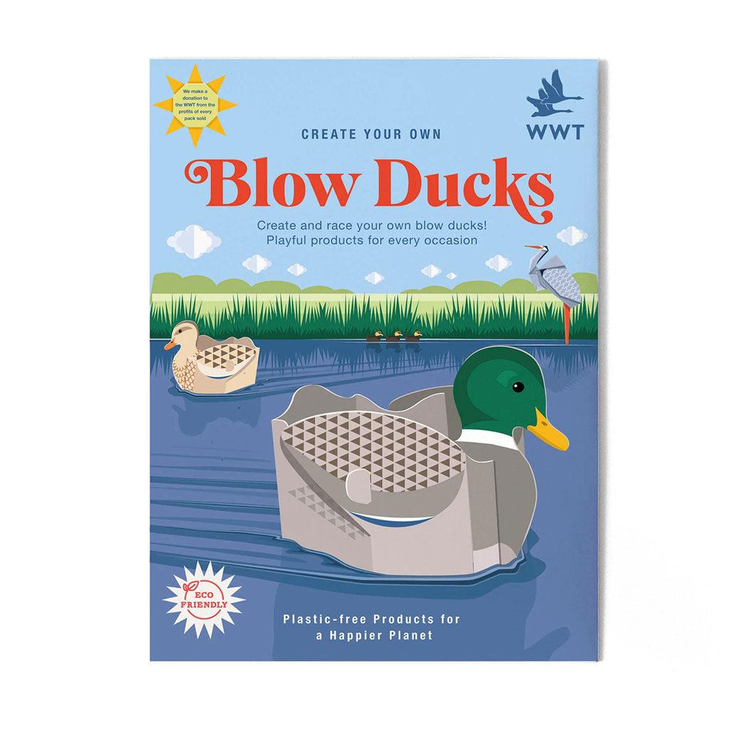 Create Your Own Blow Ducks - Insideout