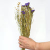 Dried Wildflower Mini Mixed Bunch Blues - Insideout