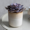 Hillesley Pot Ivory 11cm - Insideout