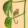 Planet Animal Tamarin - Insideout