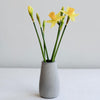 Suzy Concrete Vase - Insideout