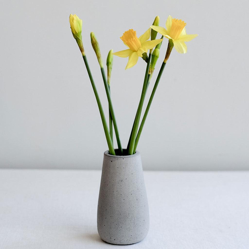 Suzy Concrete Vase - Insideout